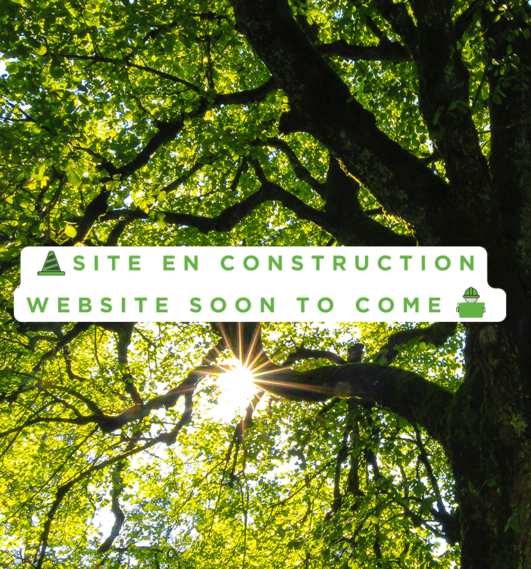 Site en construction